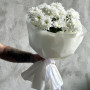 5 белых кустовых хризантем — вид 4